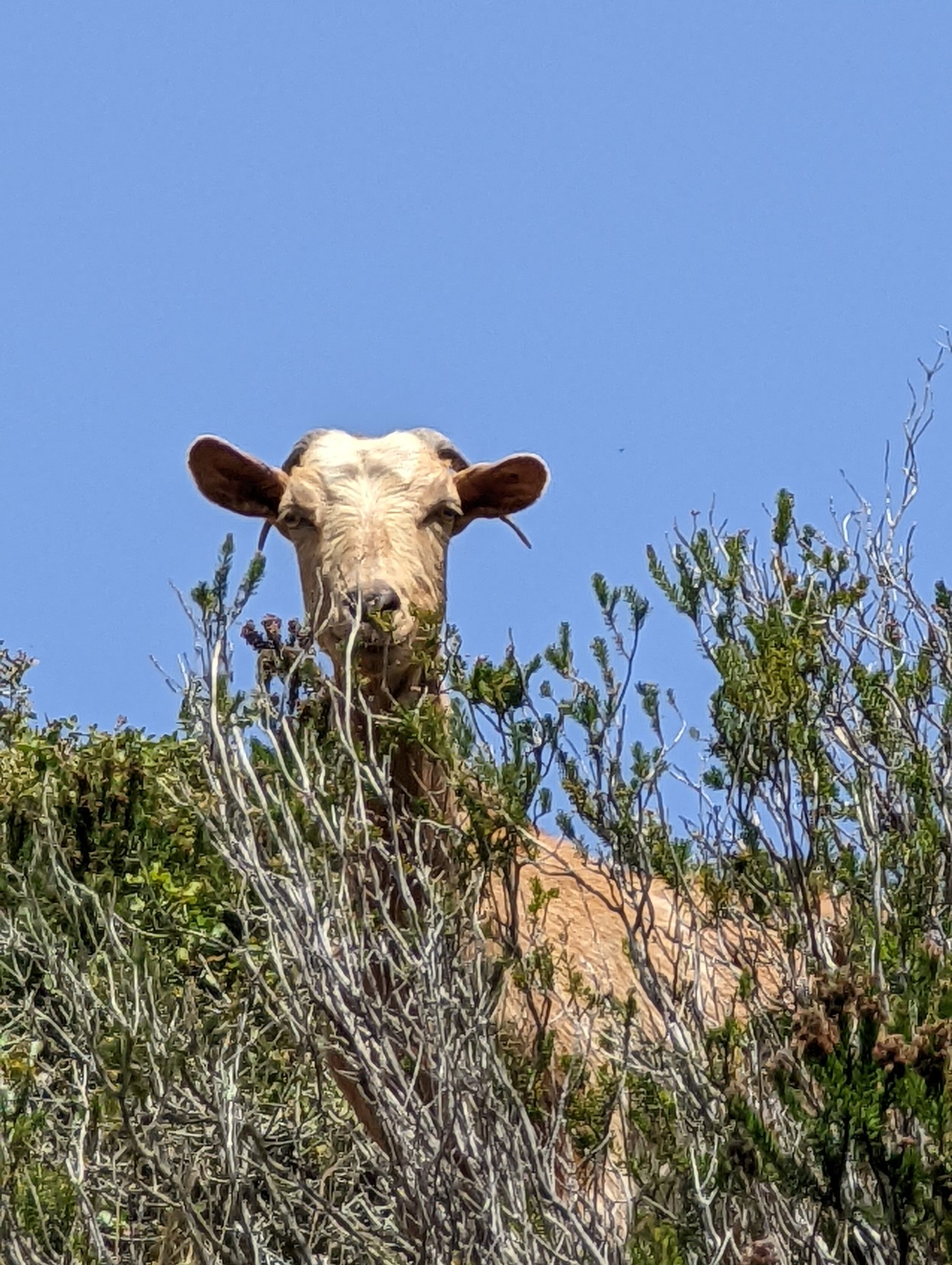 Local hiking Marxuquera